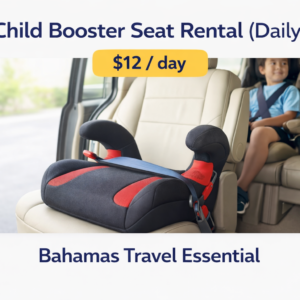 Child Booster Seat Rental (Daily)